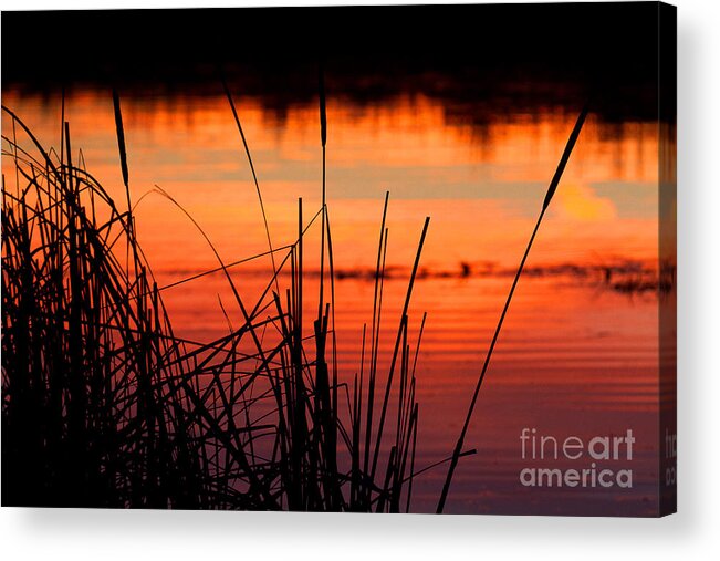 Sunsets Acrylic Print featuring the photograph Red Skies by Jim Garrison