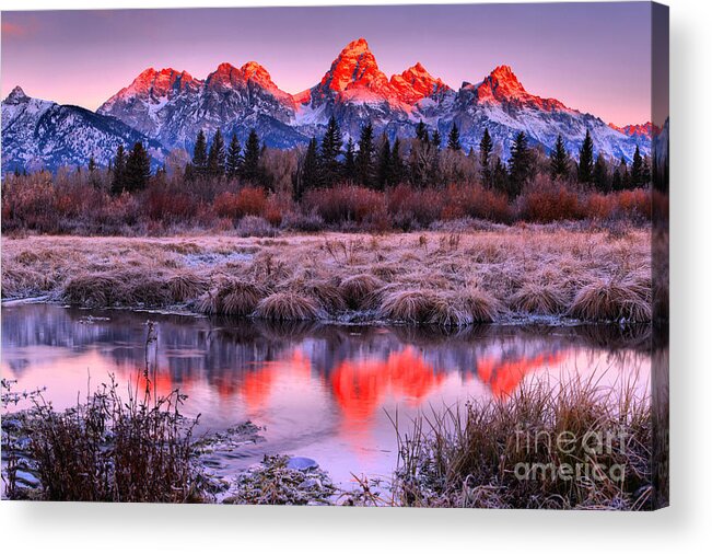 Grand Teton National Park Acrylic Print featuring the photograph Red Teton Peaks In The Willows Landscape by Adam Jewell