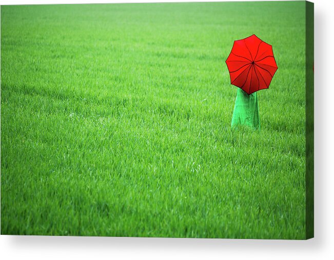 Barley Field Acrylic Print featuring the photograph Red Umbrella in Green Field by Maggie Mccall