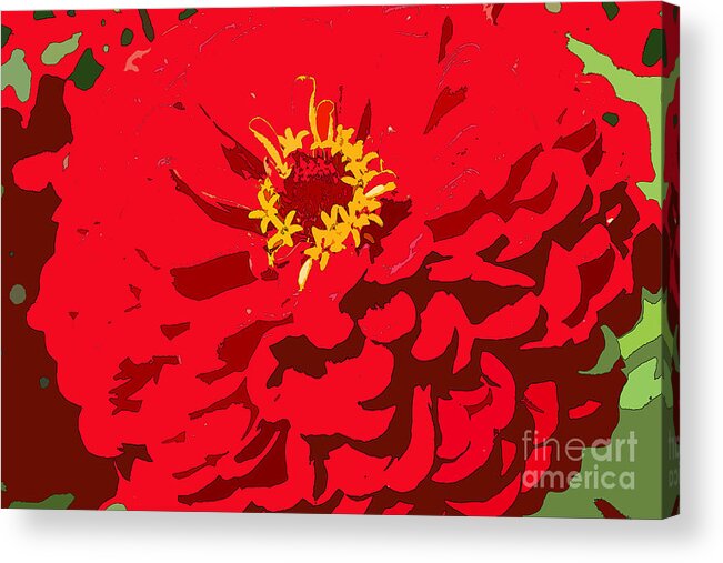 Zinnia Acrylic Print featuring the photograph Red Zinnia by Jeanette French