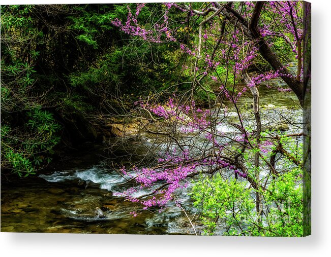 Spring Acrylic Print featuring the photograph Redbud and River by Thomas R Fletcher