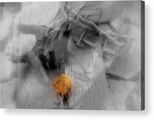 Thorns Acrylic Print featuring the photograph Redemption.. by Al Swasey