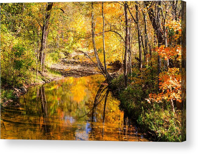 Reflections Of Fall Colors Acrylic Print featuring the photograph Reflecting Fall by Mary Timman