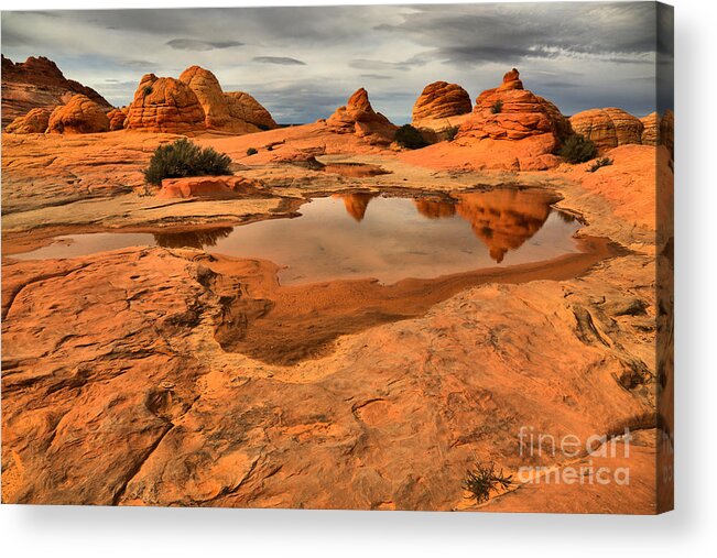 The Wave Acrylic Print featuring the photograph Reflecting The Buttes by Adam Jewell