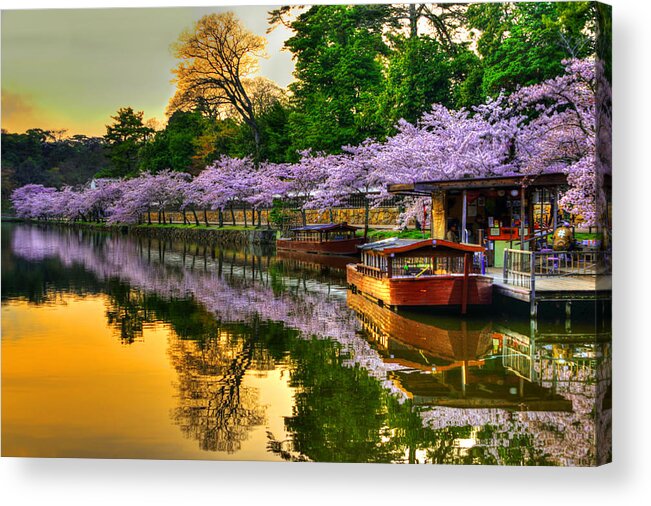 Hikone Acrylic Print featuring the photograph Reflection in Gold by Midori Chan