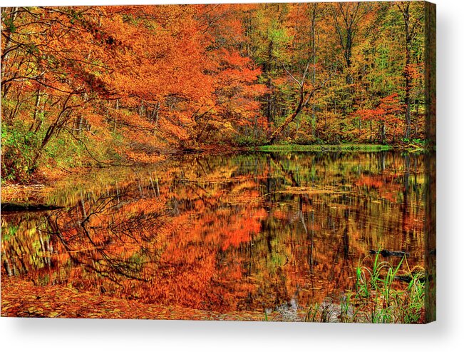 Autumn Acrylic Print featuring the photograph Reflection of Autumn by Midori Chan