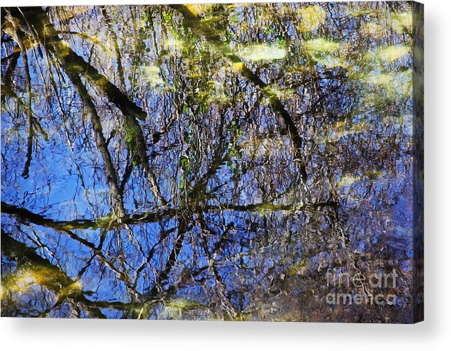 Reflections Acrylic Print featuring the photograph Reflections in a Pond by David Frederick