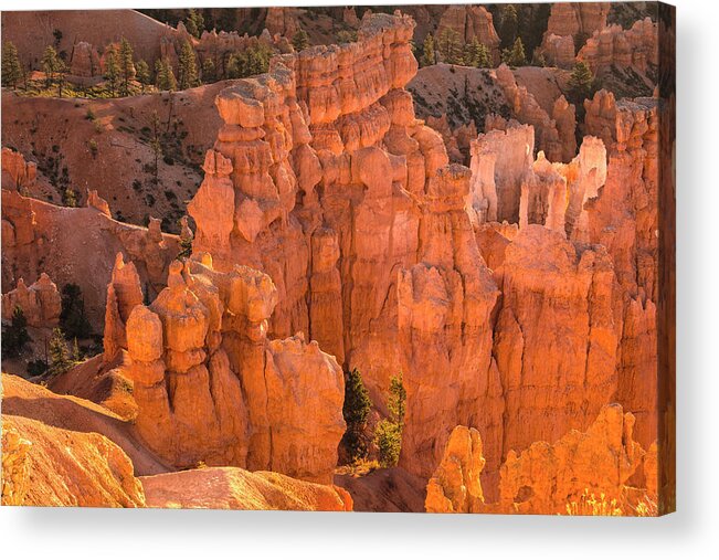  Acrylic Print featuring the photograph Reflections Of Morning Light by Angelo Marcialis