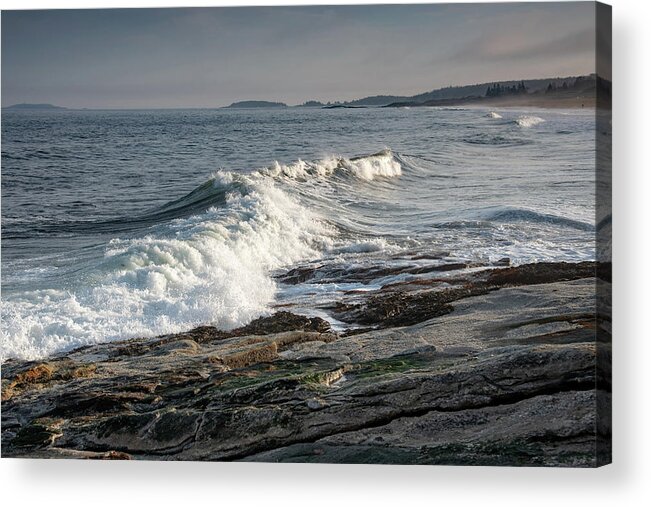 Reid State Park Acrylic Print featuring the photograph Reid State Park Wave by Tony Pushard