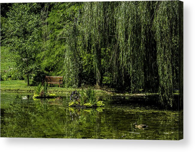 Pond Acrylic Print featuring the photograph Relax by Pond by Allen Nice-Webb