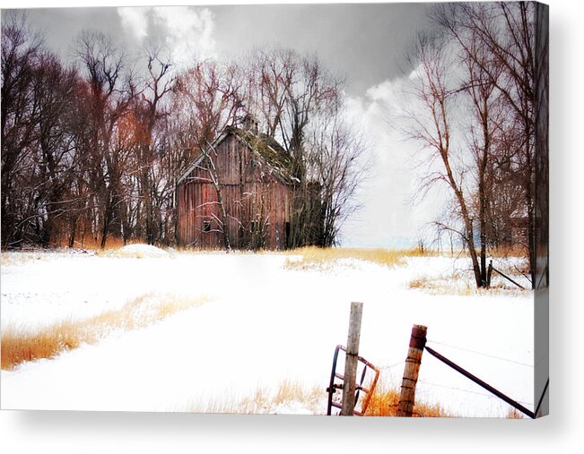 Barn Acrylic Print featuring the photograph Remember When by Julie Hamilton