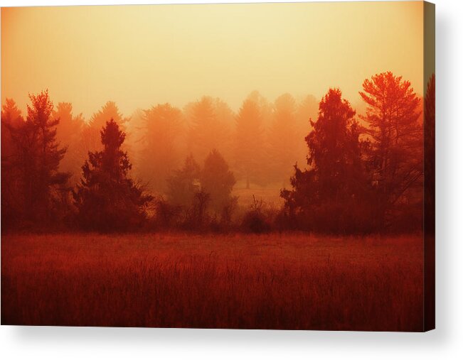 Nature Acrylic Print featuring the photograph Reminiscence by Iryna Goodall