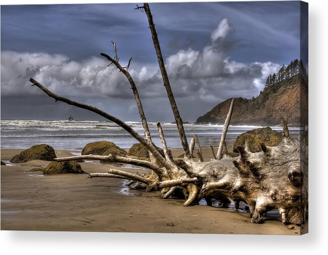 Hdr Acrylic Print featuring the photograph Resting by Brad Granger
