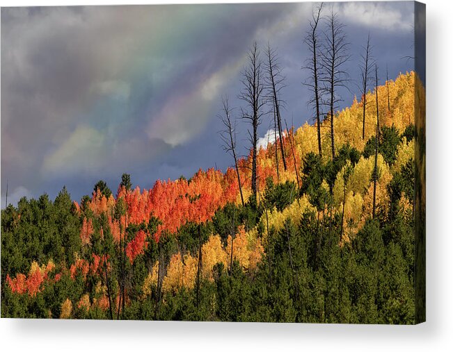Autumn Color Acrylic Print featuring the photograph Restoration by Kathleen Bishop