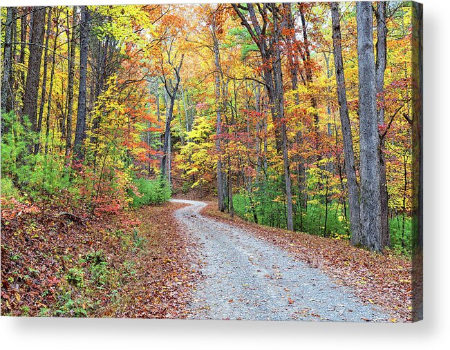 Beautiful Scenery Acrylic Print featuring the photograph Rich Mountain Road by Victor Culpepper