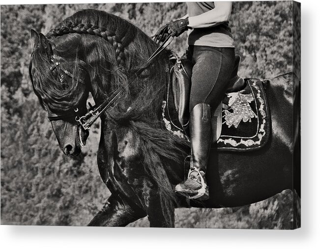 Rider And Steed Dance Acrylic Print featuring the photograph Rider and Steed Dance by Wes and Dotty Weber