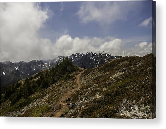Olympic National Park Acrylic Print featuring the photograph Ridge Walking in the Olympic Mountains by Doug Scrima