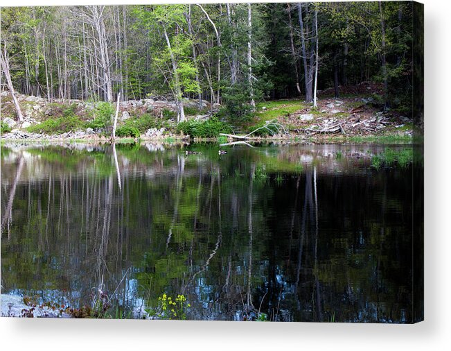 Nature Acrylic Print featuring the photograph Rippled Reflections by Jeff Severson