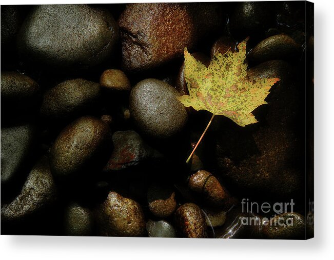 River Rock Acrylic Print featuring the photograph River Bottom by Michael Eingle