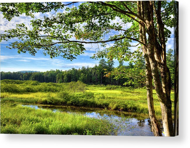 Landscapes Acrylic Print featuring the photograph River Under the Maple Tree by David Patterson