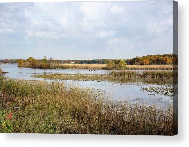 Landscape Acrylic Print featuring the photograph Rivermarsh by Kathi Mirto