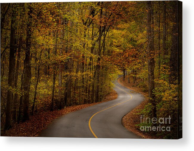 Tishomingo Acrylic Print featuring the photograph Road through Tishomingo State Park by T Lowry Wilson