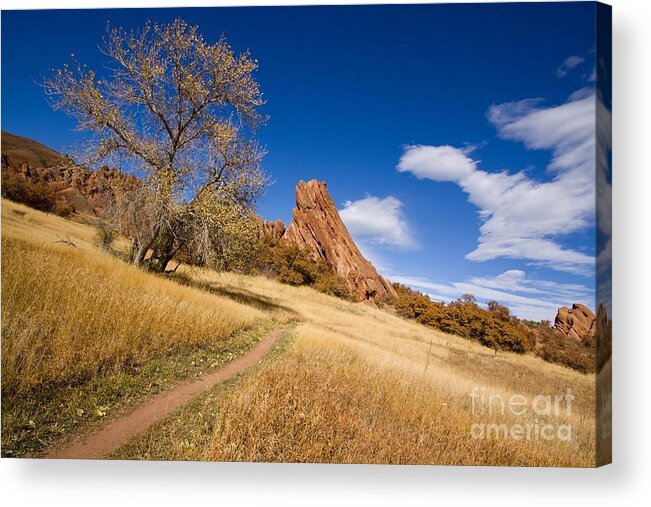 Landscape Acrylic Print featuring the photograph Road to the Rocky Blue by Andrew Serff