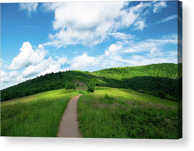 Roan Highlands Acrylic Print featuring the photograph Roan Ridge by Jim Neal