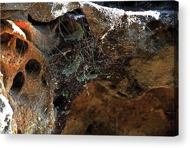 Rock Acrylic Print featuring the photograph Rock Abstract With A Web by Miroslava Jurcik