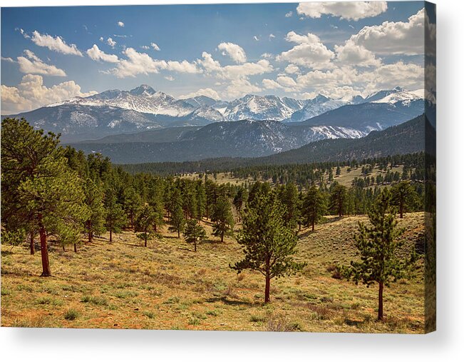 Rocky Mountains Acrylic Print featuring the photograph Rocky Mountain Afternoon High by James BO Insogna