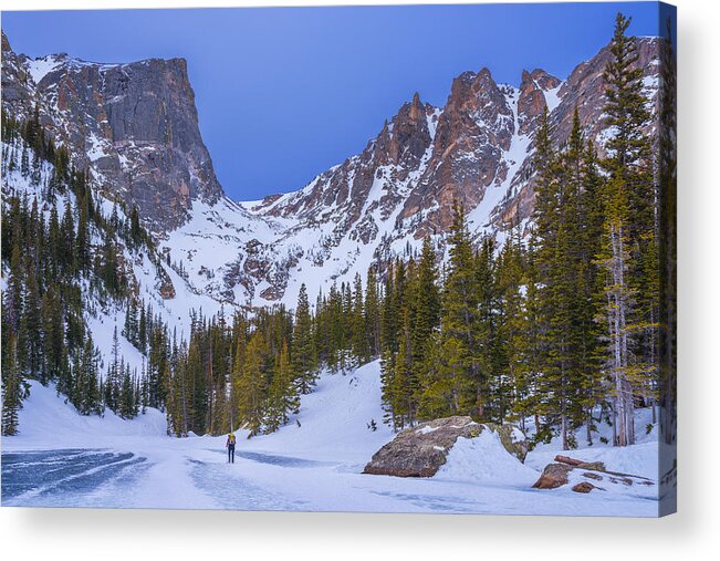 Darren White Acrylic Print featuring the photograph Rocky Mountain Snowshoer by Darren White