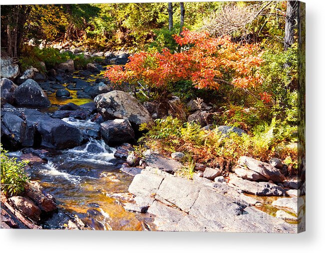 Waterfalls Acrylic Print featuring the photograph Rocky Stream Waterfalls by Sherry Curry