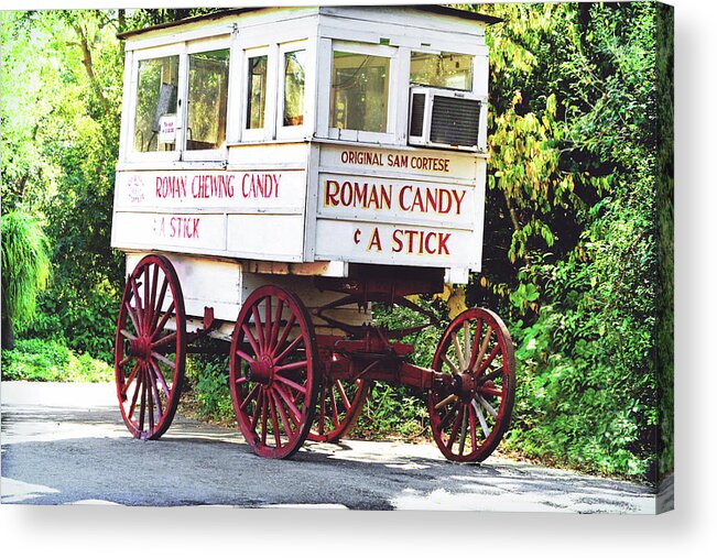 Zoo Acrylic Print featuring the photograph Roman Candy by Scott Pellegrin