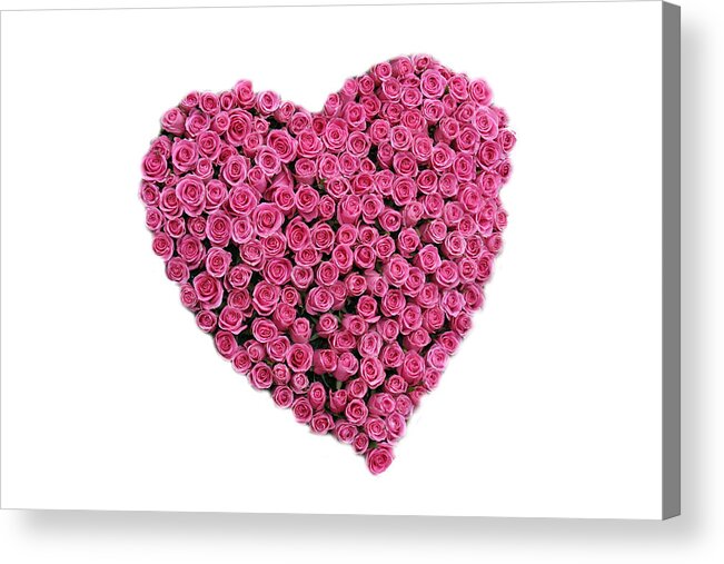 Adore Acrylic Print featuring the photograph Rose Heart by Mike Ledray