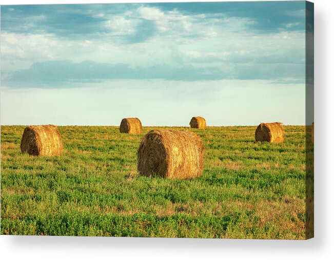Hay Acrylic Print featuring the photograph Round Hay Bales by Todd Klassy