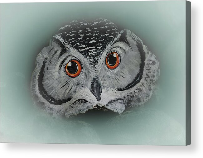 Owl Acrylic Print featuring the photograph Precocious Owl #2 by Jeff Cooper