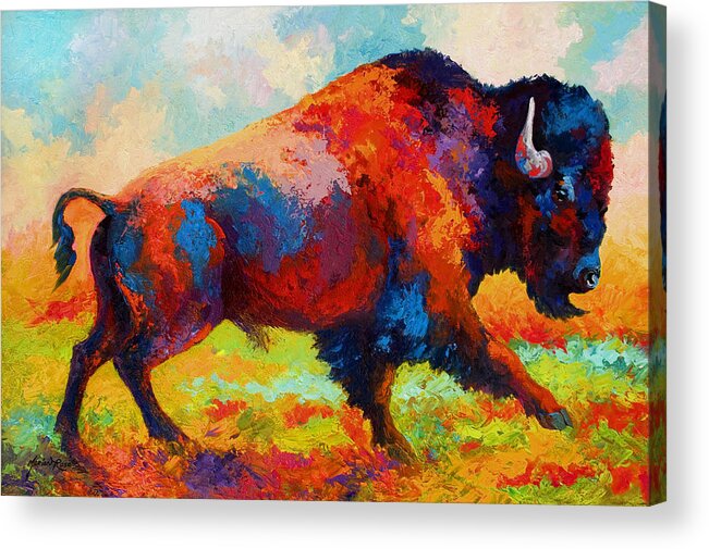 Bison Acrylic Print featuring the painting Running Free by Marion Rose