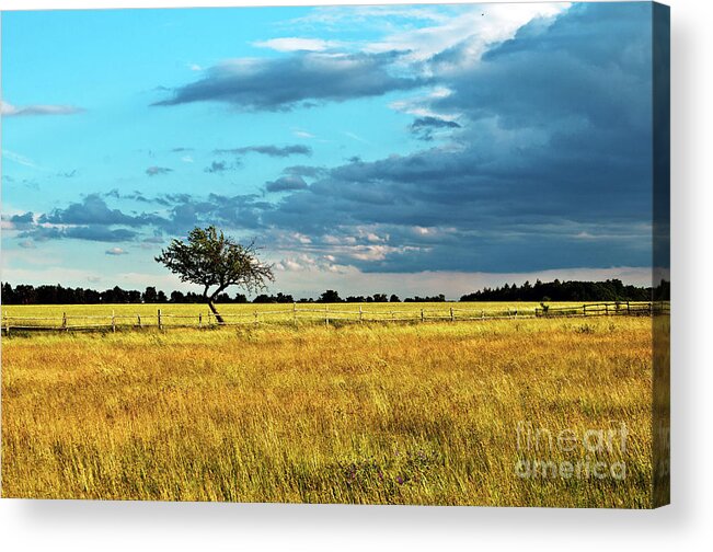 Rural Idyll Poetry Acrylic Print featuring the photograph Rural Idyll Poetry by Silva Wischeropp