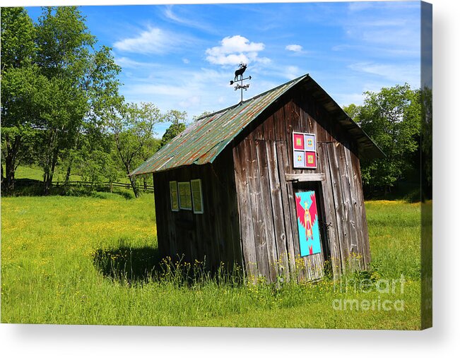 Barn Acrylic Print featuring the photograph Rural Panache by Marty Fancy