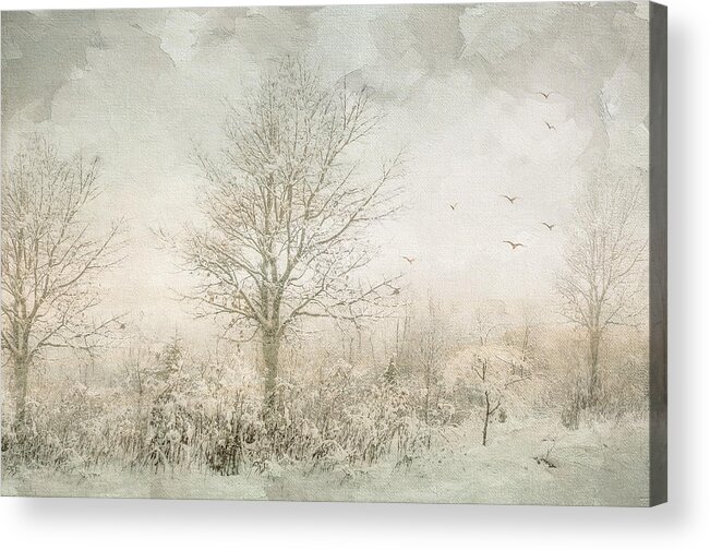 Landscape Acrylic Print featuring the photograph Rural Winter Landscape by Julie Palencia