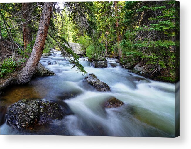  Acrylic Print featuring the photograph Rushing By by Sean Allen