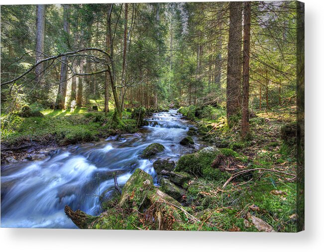 Mountain Acrylic Print featuring the photograph Rushing Stream by Sean Allen