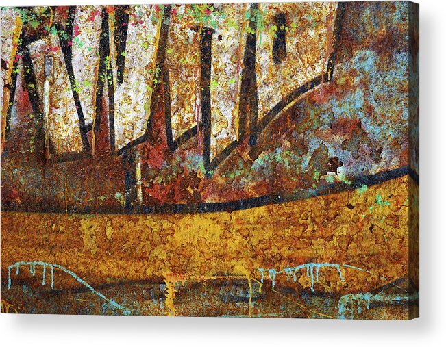 Abandoned Acrylic Print featuring the photograph Rust Colors by Carlos Caetano
