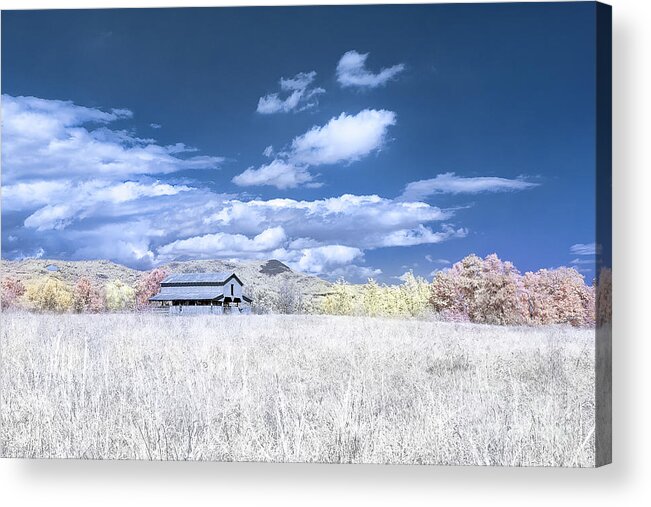 642nm Acrylic Print featuring the photograph S C Upstate Barn Faux Color by Charles Hite