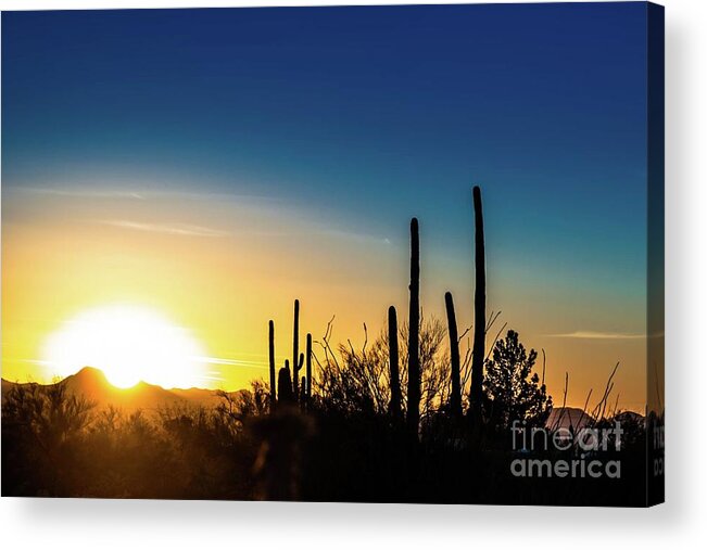 Saguaro Acrylic Print featuring the photograph Saguaro Sunset by Jim DeLillo