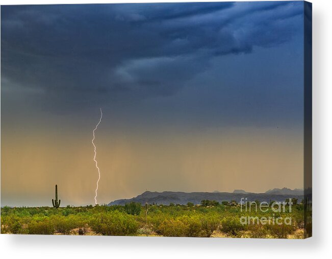 Arizonia Acrylic Print featuring the photograph Saguaro with Lightning by Patti Schulze