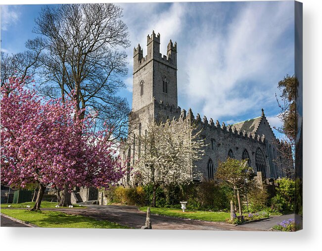 Limerick Acrylic Print featuring the photograph Saint Mary's Cathedral in Spring by Pierre Leclerc Photography