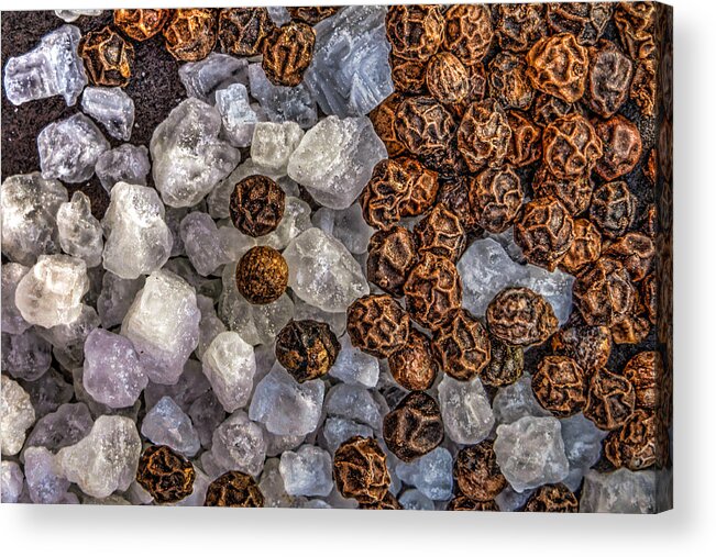 Arizona Acrylic Print featuring the photograph Salt and Pepper by Paul LeSage