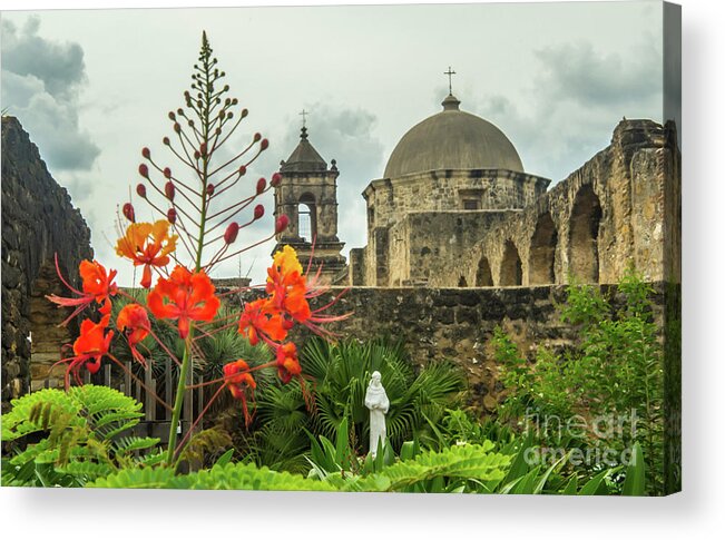 San Antonio Acrylic Print featuring the photograph Mission San Jose with Pride of Barbados by Michael Tidwell