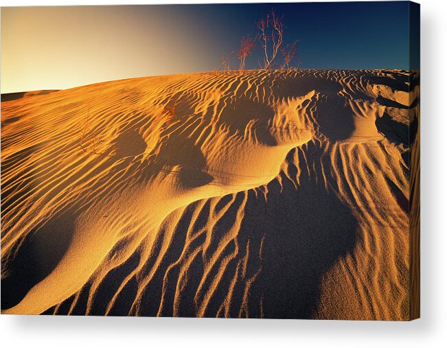 California Acrylic Print featuring the photograph Sand dune flux lines by William Lee